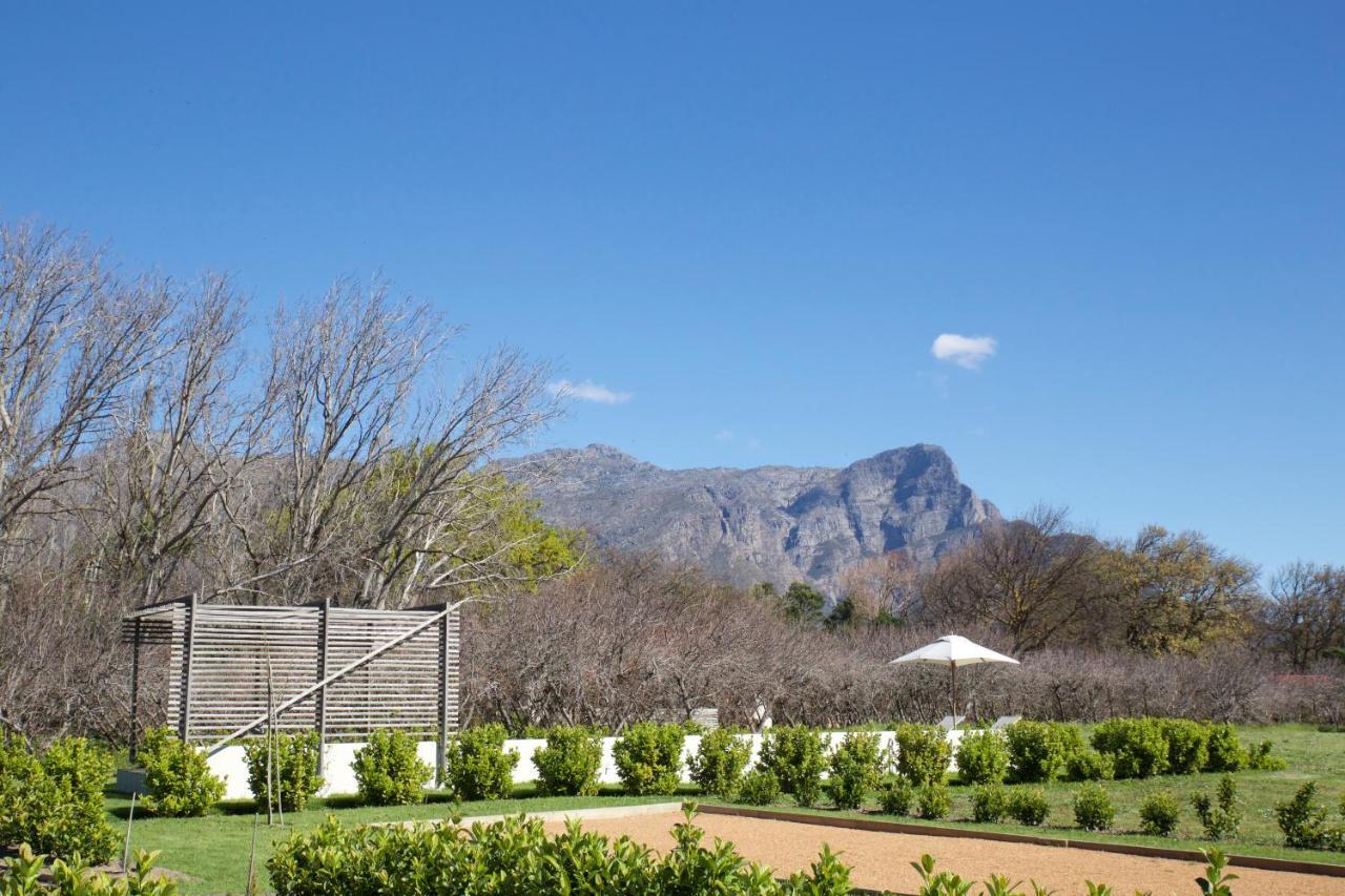 La Chataigne Wines & Guest Cottages Franschhoek Exterior foto